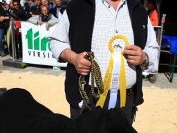 2019_ausstellung polling_397